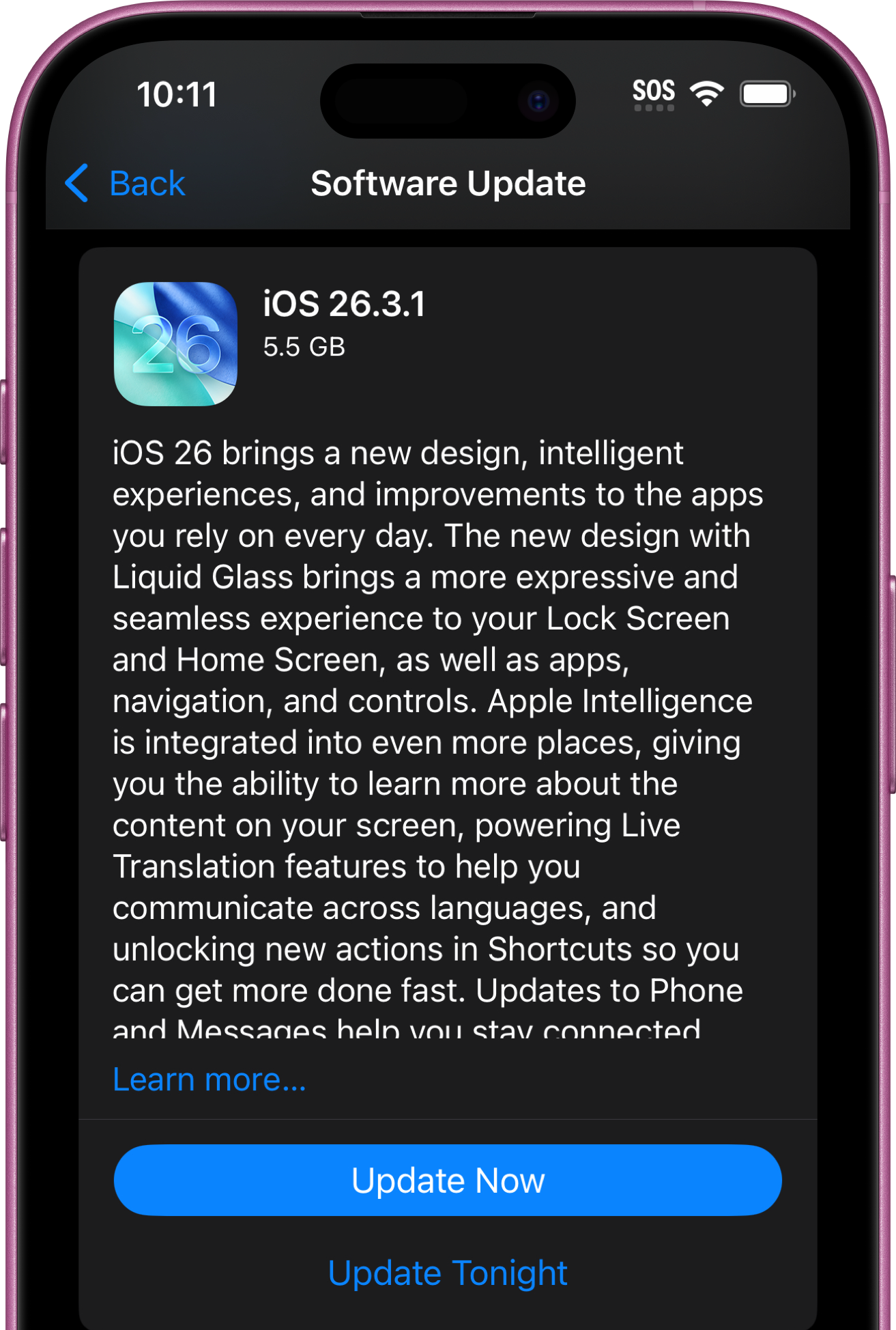 Software Update on iPhone