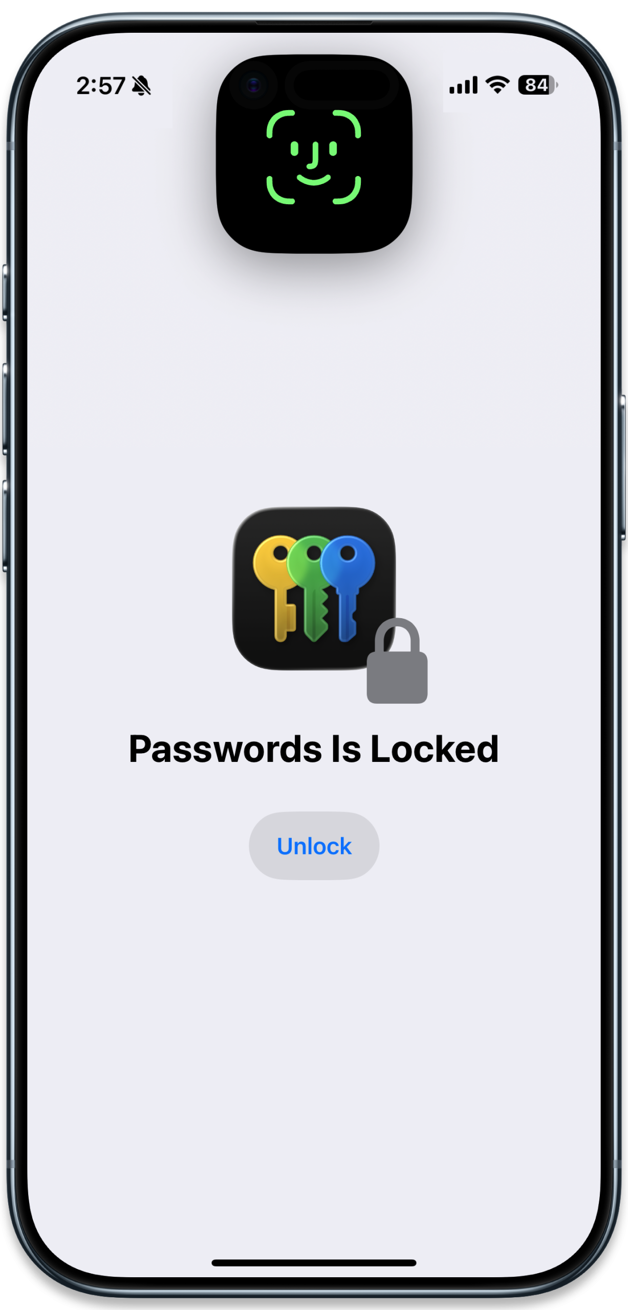 iPhone Air with Passwords App and Face ID Unlock
